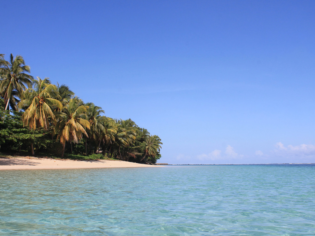Janes Beach Fales主图