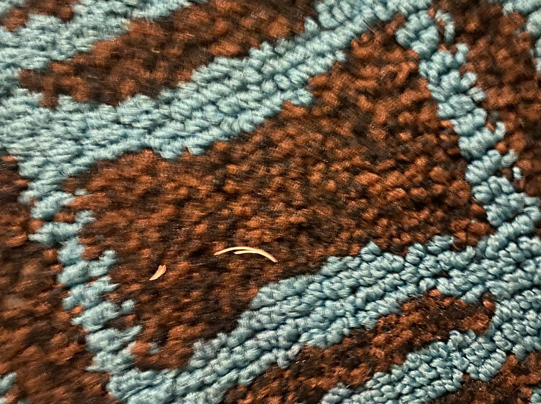 Fairfield by Marriott Inn & Suites Houston Humble主图