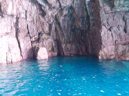 Mercury Bay Discoveries - Cathedral Cove & Coastal Tour-菲蒂昂格必去景点