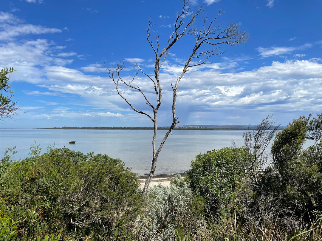 Old Port Walking Trail-Port Albert必去景点