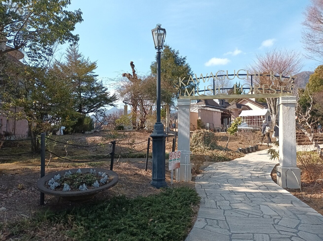 河口湖八音盒之森美术馆景点图片