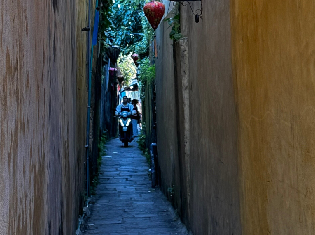 Da Nang-Hoi An-My Son-Local Tours Customized by Hung Le Travel-Son Tra Peninsula必去景点