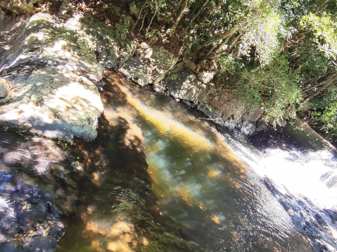 Ecoparque Sperry-卡内拉必去景点