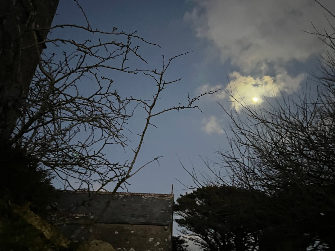 The White House at The Tinners Arms主图