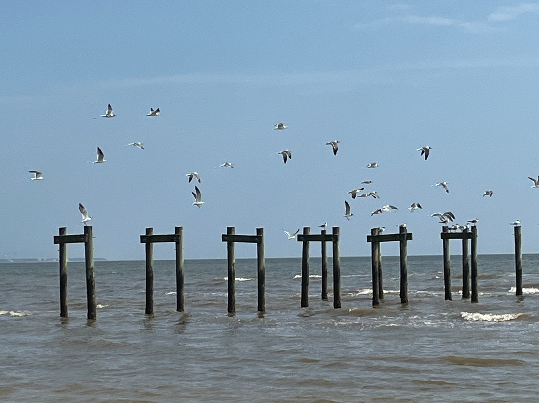 Waveland Beach-Jensen Beach必去景点