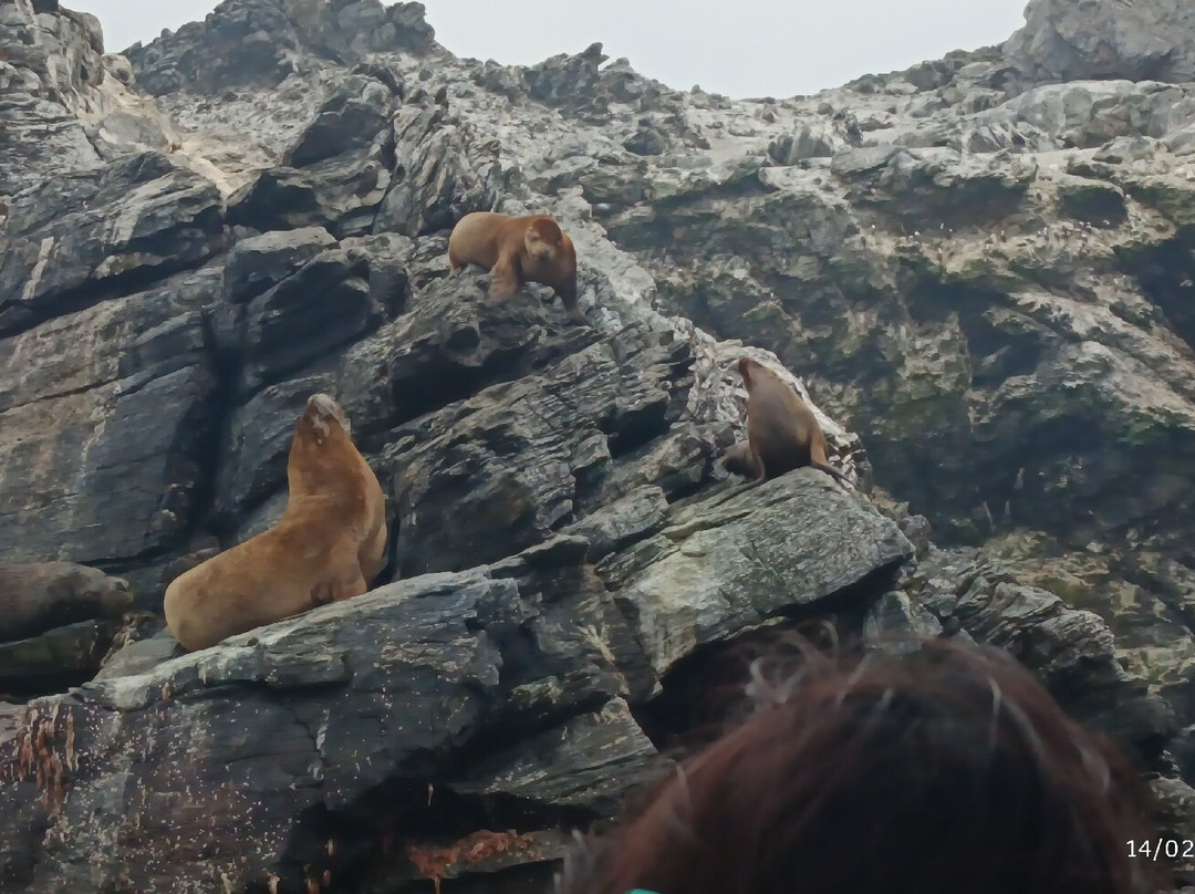 Ecoturismo La Serena-拉塞雷纳必去景点