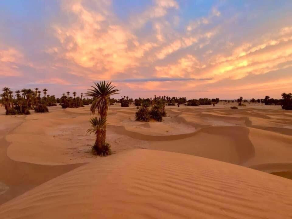Souss-Massa餐馆和美食-Café Le Petit Prince
