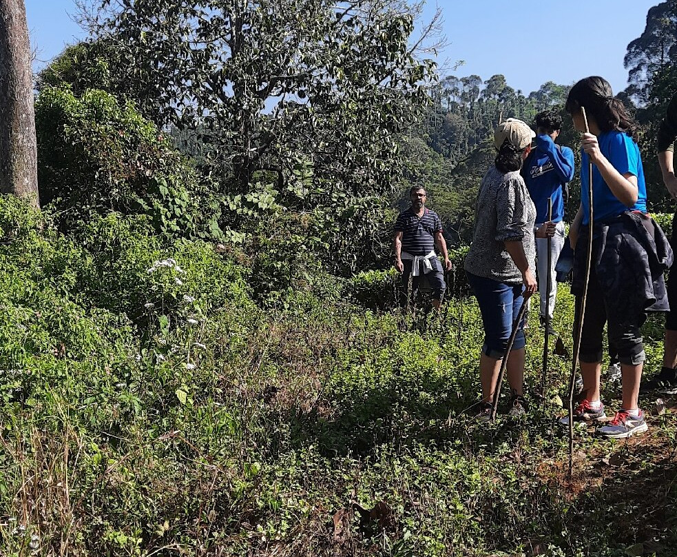 Birdwatching Cherambadi-Cherambadi必去景点