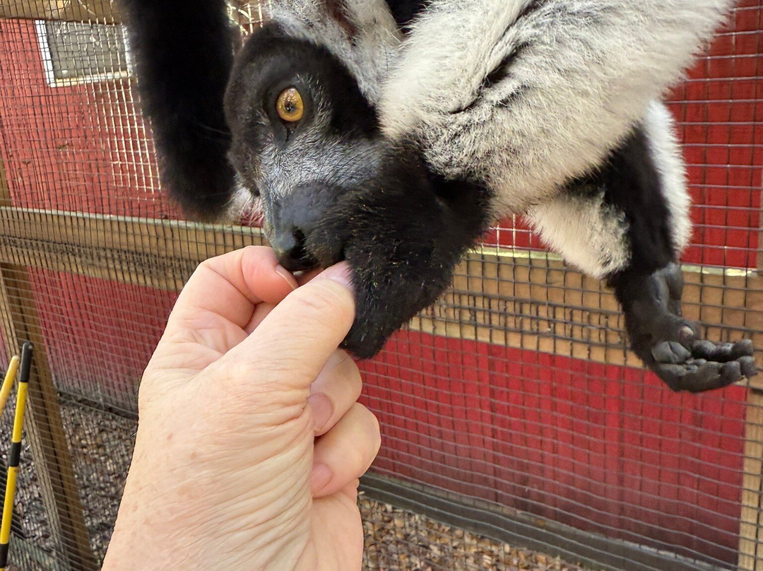 Chase Animal Rescue And Sanctuary-Webster必去景点