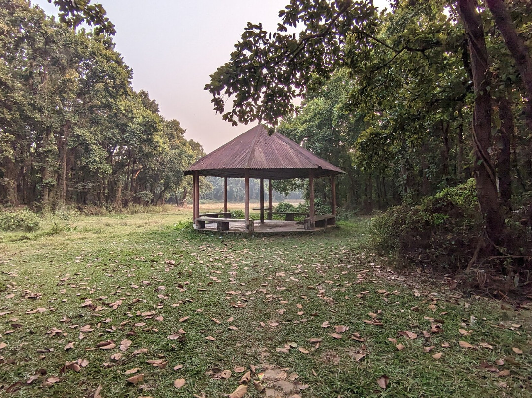 Bhawal National Park-Gazipur必去景点