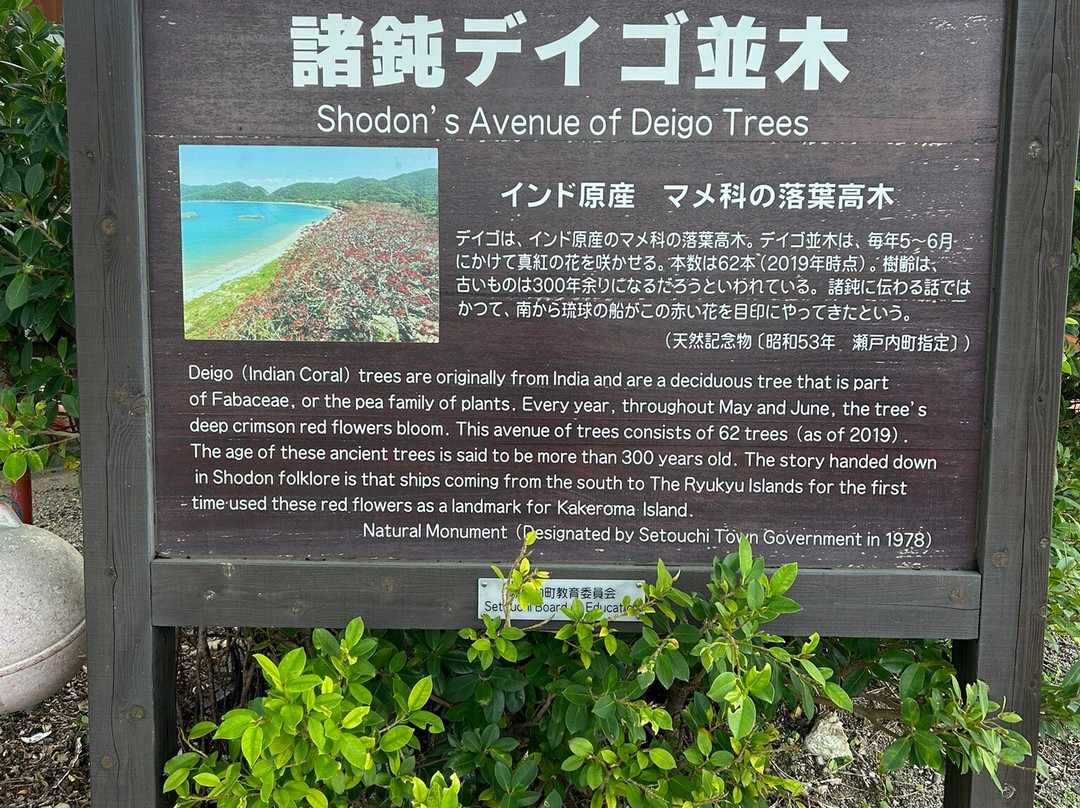 Kakeroma Island-濑户内町必去景点