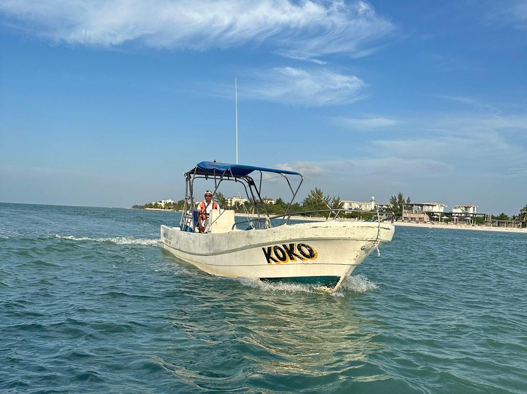 My Holbox Tours景点图片