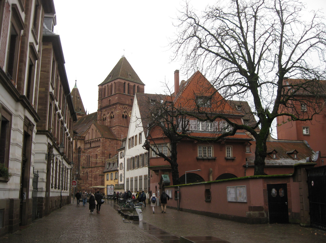 Centre-Ville de Strasbourg-斯特拉斯堡必去景点