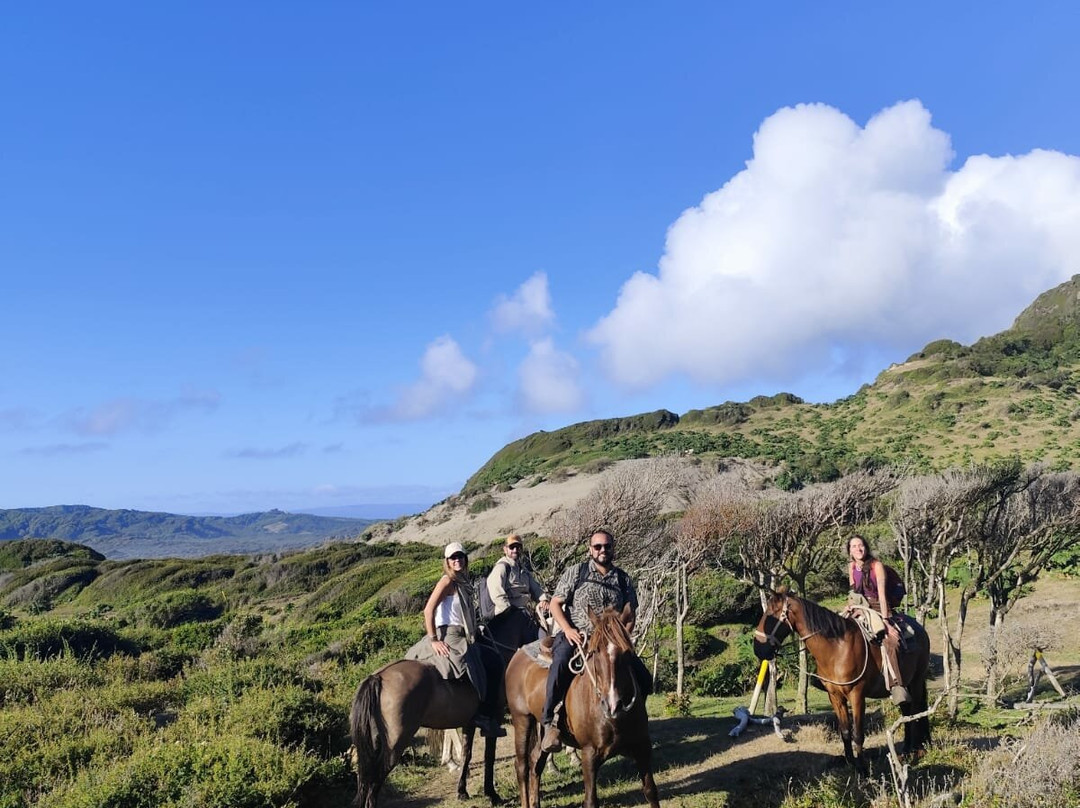 Tour A Caballo Por Cucao