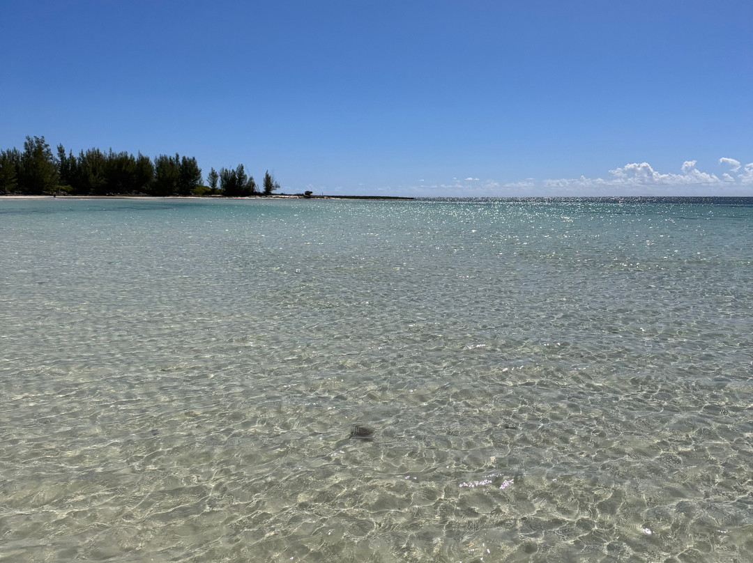 Junkanoo Beach Club Freeport at Taino Beach-弗里波特必去景点