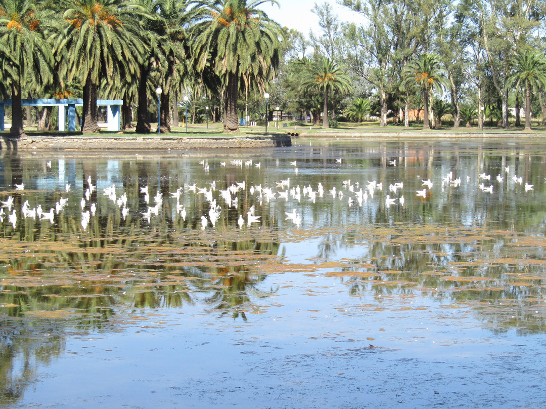 Parque Las Acollaradas景点图片