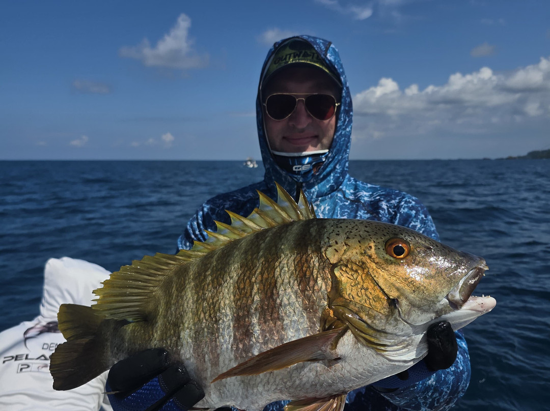 Sport Fishing Pinino景点图片