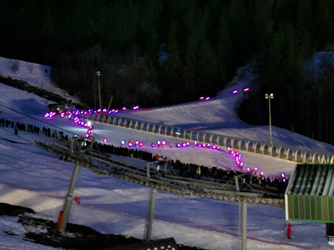 Residence le Chalet des Neiges主图