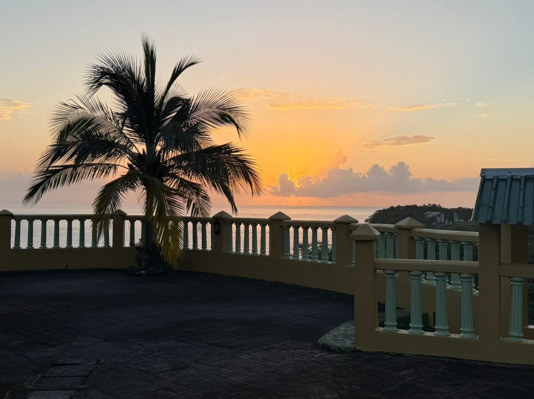 Pimento Lodge Resort主图