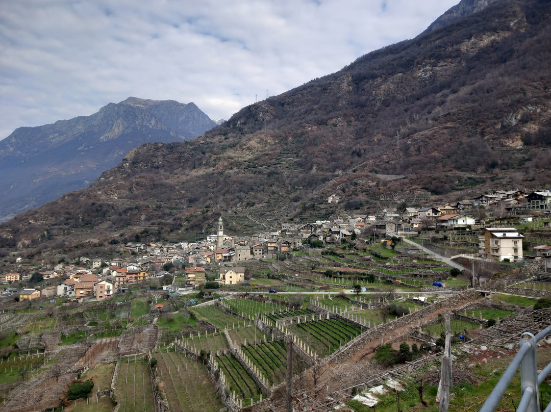 Sentiero dei Vigneti di Carema景点图片