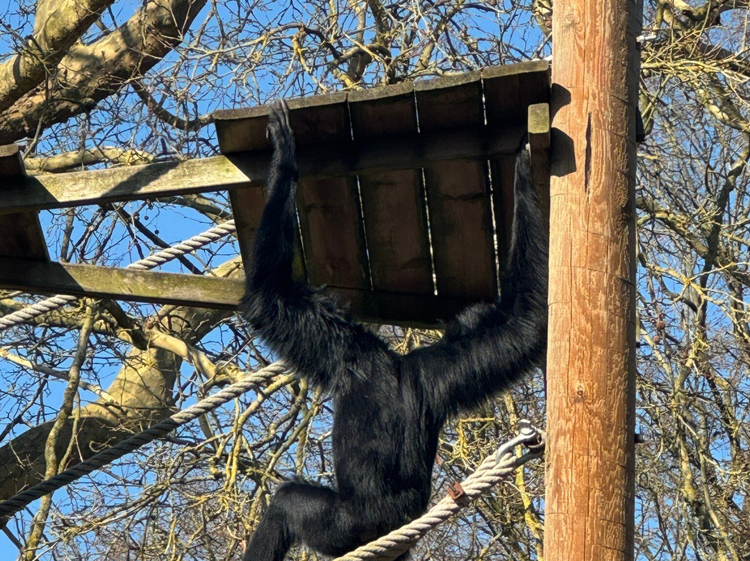 Zoo de Lille-里尔必去景点
