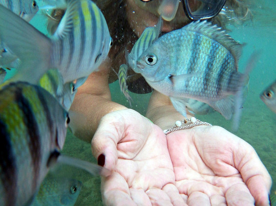 Porto Adventure-嘎林海斯港必去景点