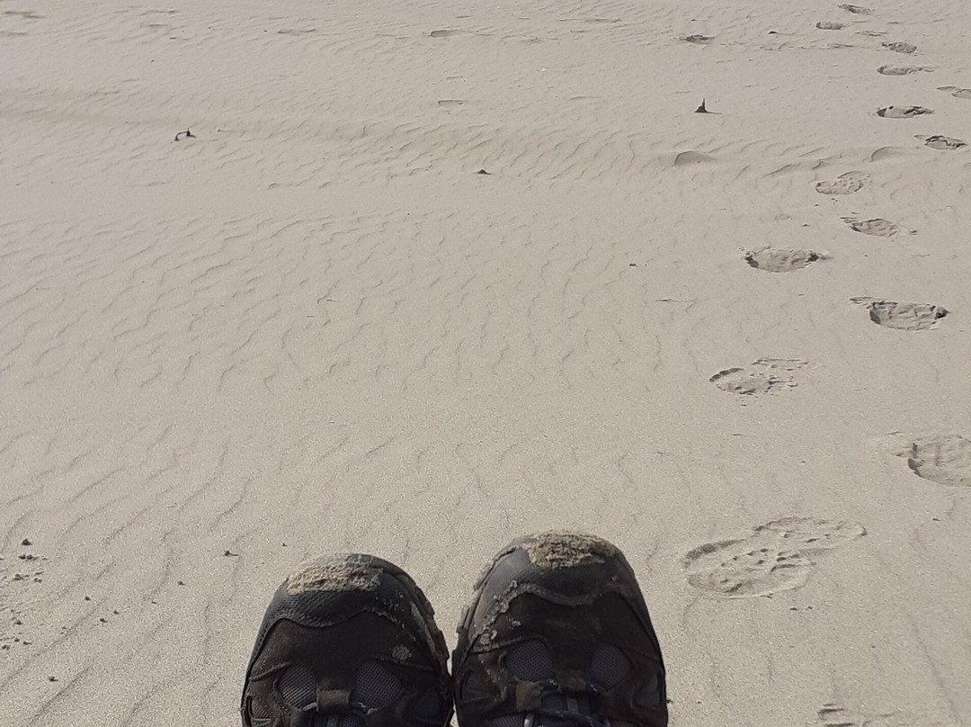 Harlech Beach景点图片