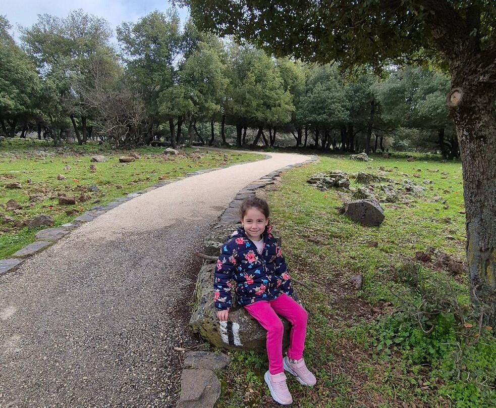 Big Juba in Ya'ar Odem-Odem必去景点