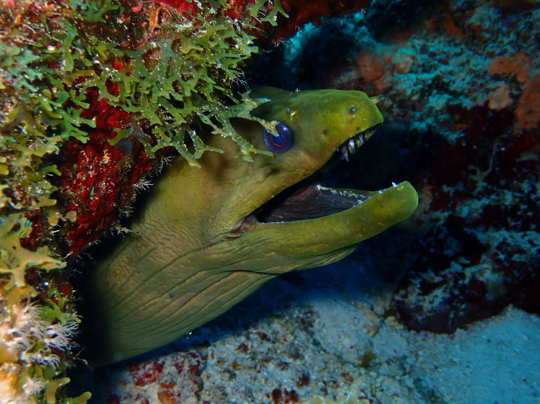 Porto Mari Sports-Sint Willibrordus必去景点