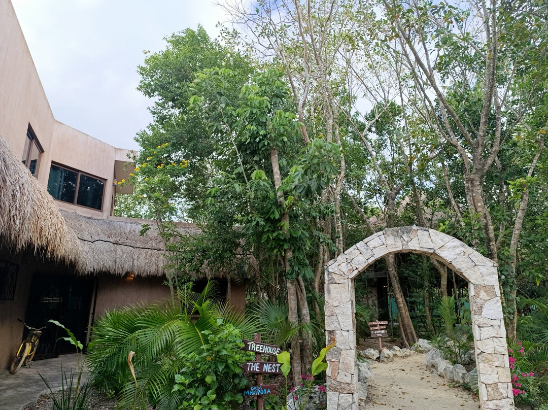 Jungle Love Mexico