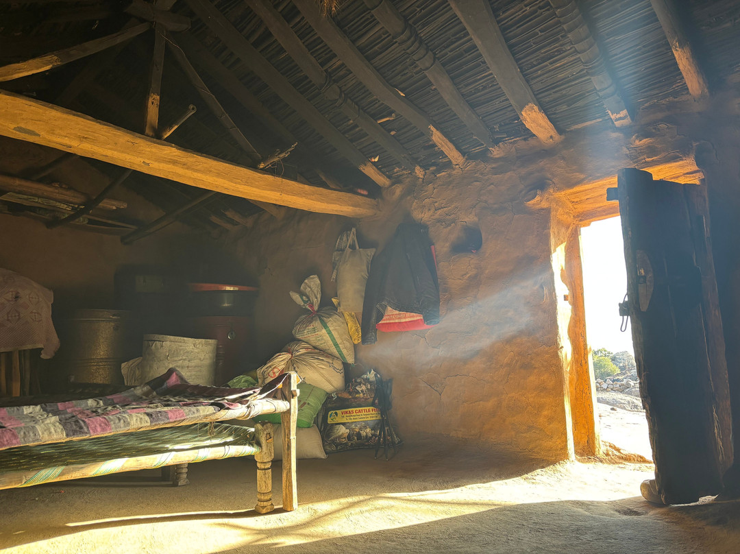 Mount Abu Trekking景点图片
