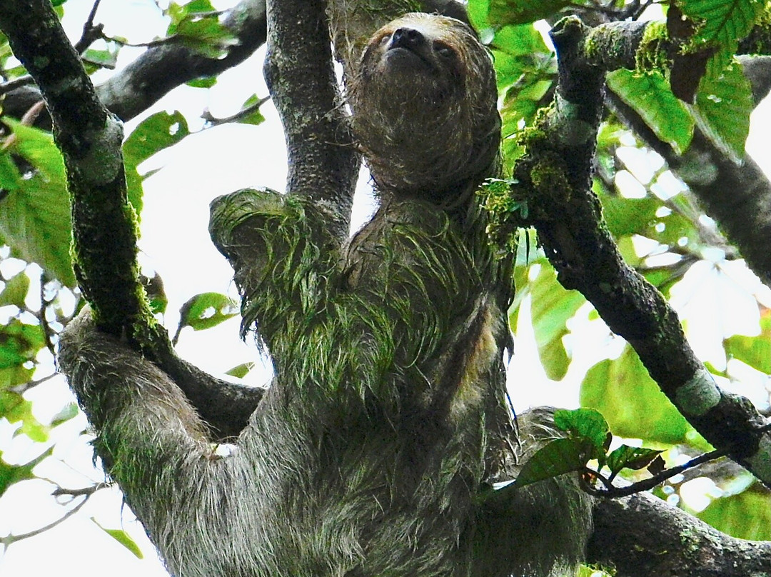 Coati Tours景点图片