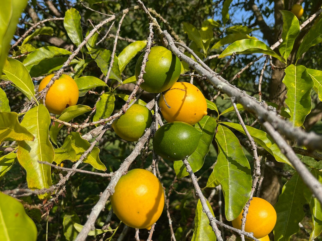 阿洛哈宾馆主图