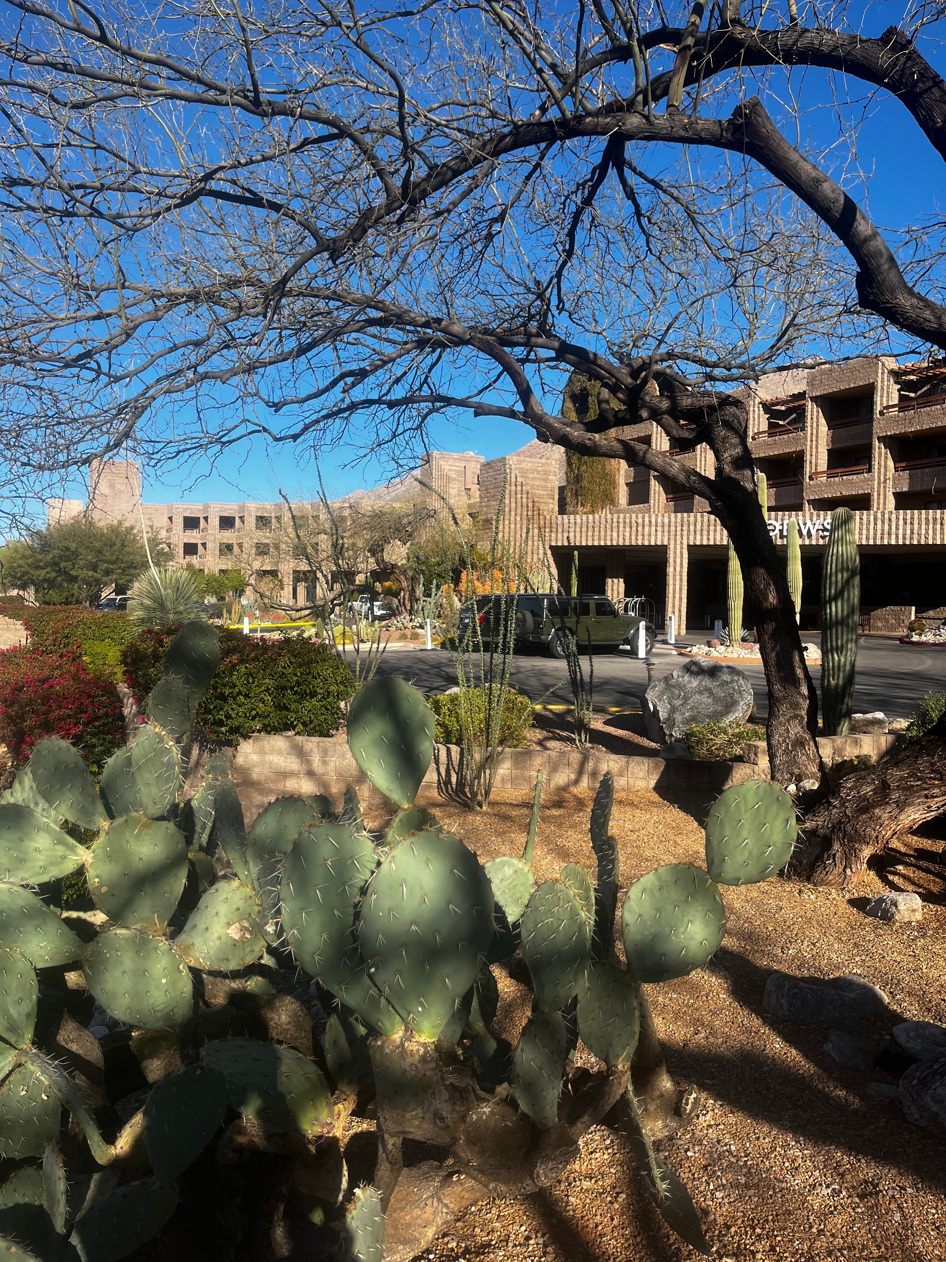 Loews Ventana Canyon Resort-浴室