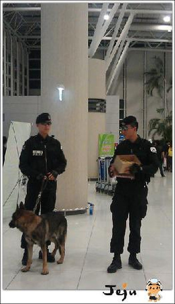 济州岛十二月酒店主图