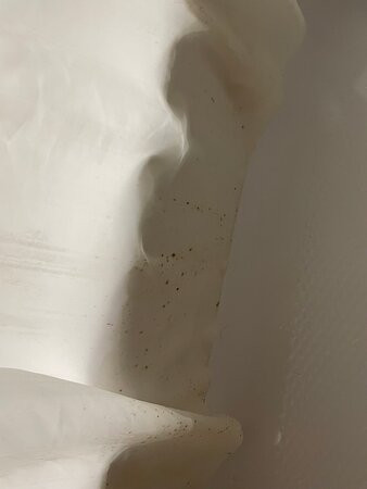 多伦多北约克贝斯特韦斯特优质套房酒店主图