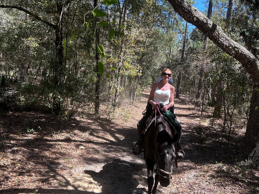 Choyce LLC-San Antonio必去景点