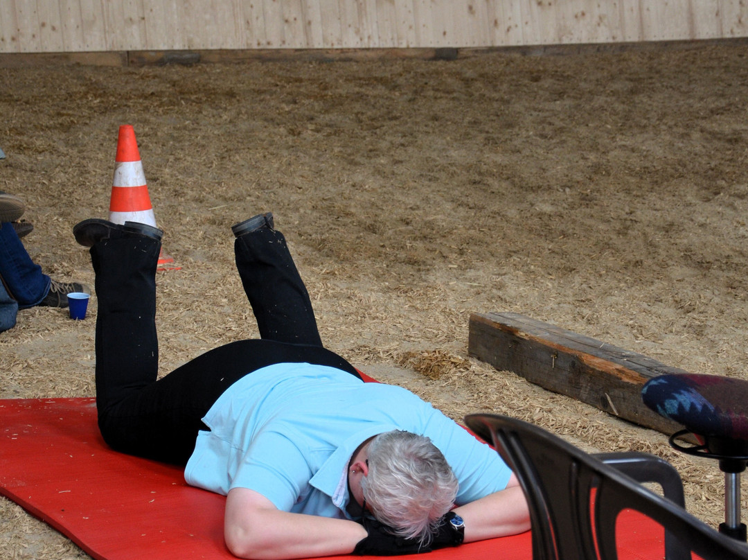 Landhotel Rehedyk主图