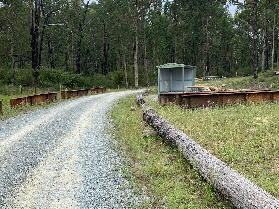 Wairewa Trestle Rail Bridge-Nowa Nowa必去景点