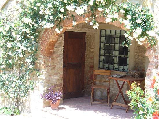 Fattoria Conio Agriturismo podere Capannuccia主图