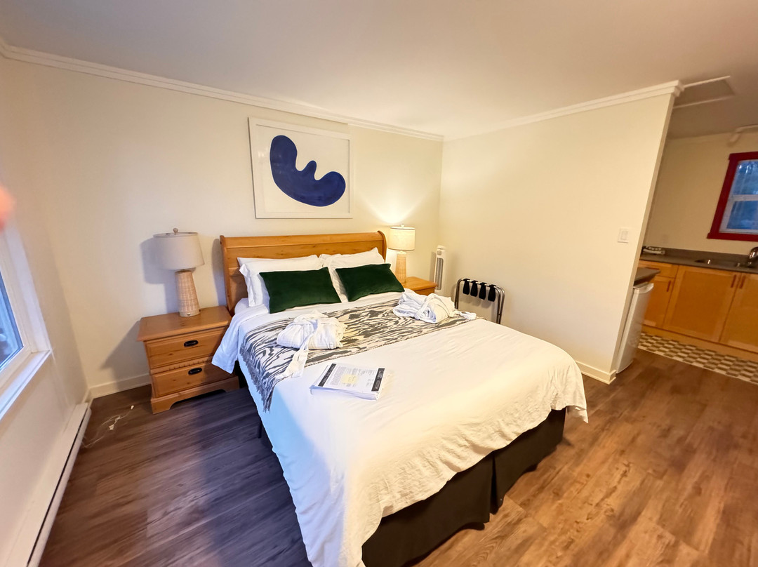 The Stonewater Motel主图