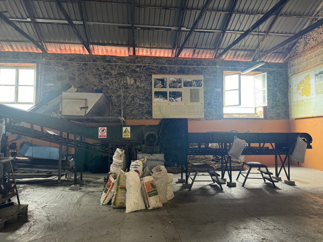 Destilerias Aldea SL景点图片