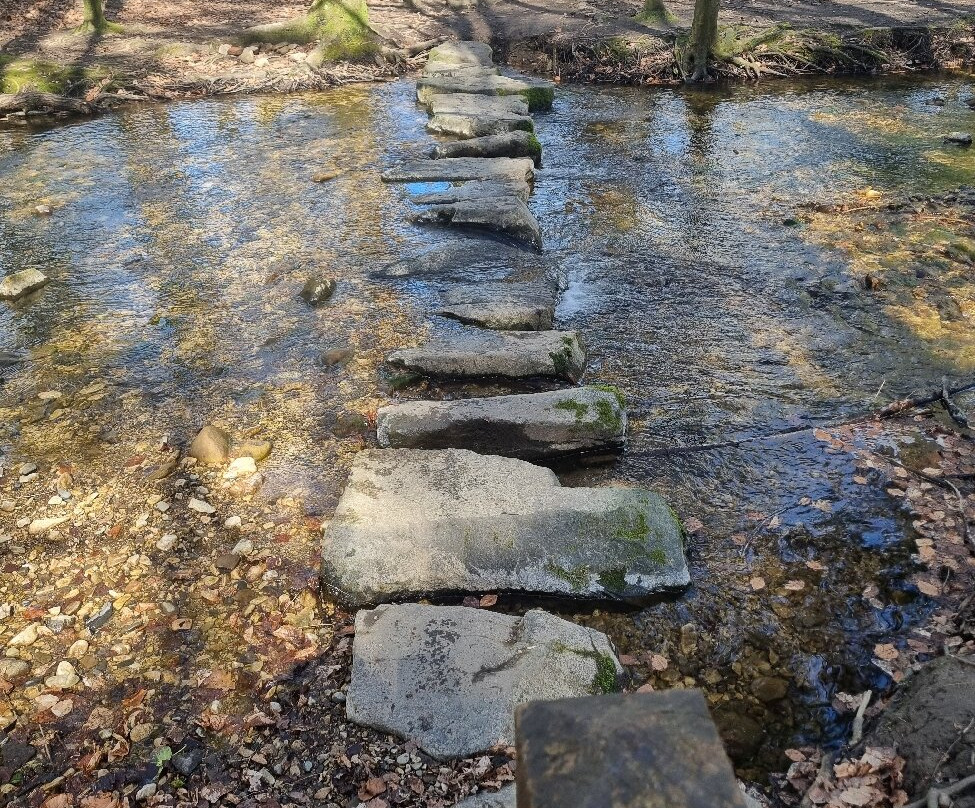 Nant Mill Country Park景点图片