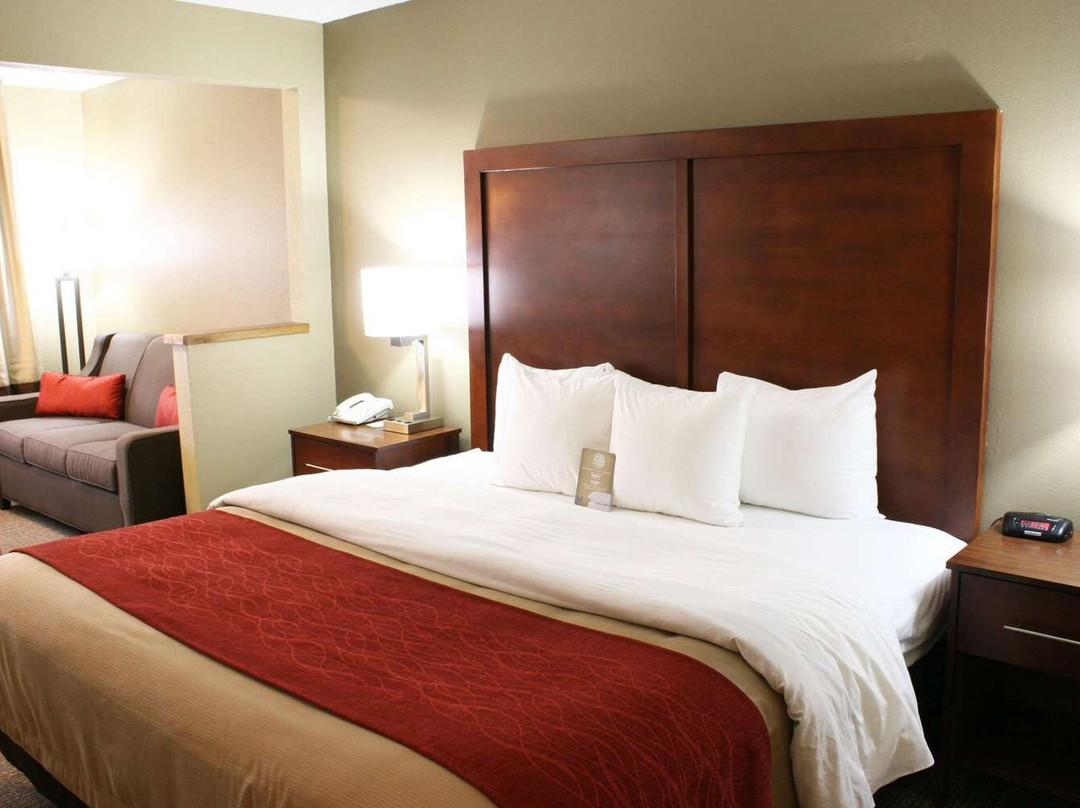 埃伦斯堡酒店住宿-Comfort Inn Central University South