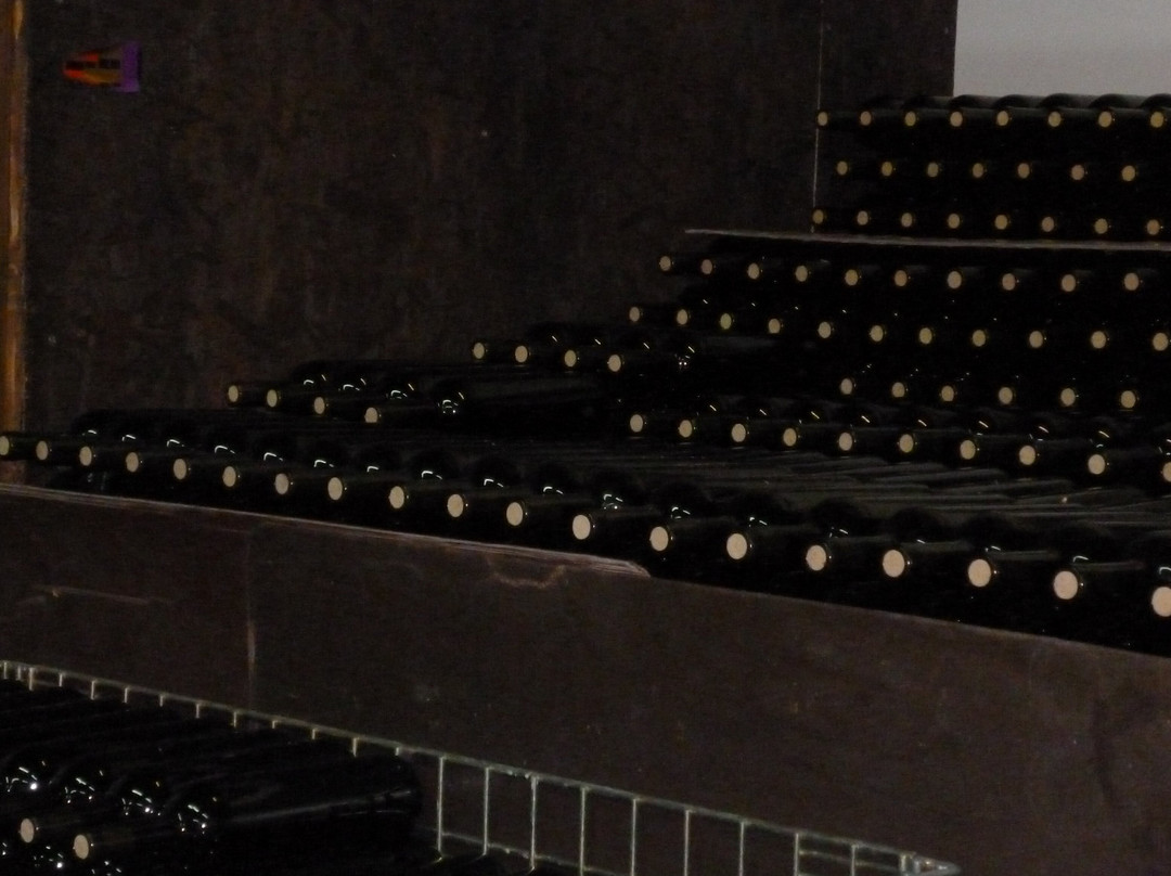 Ktima Gerolemo-Omodos必去景点