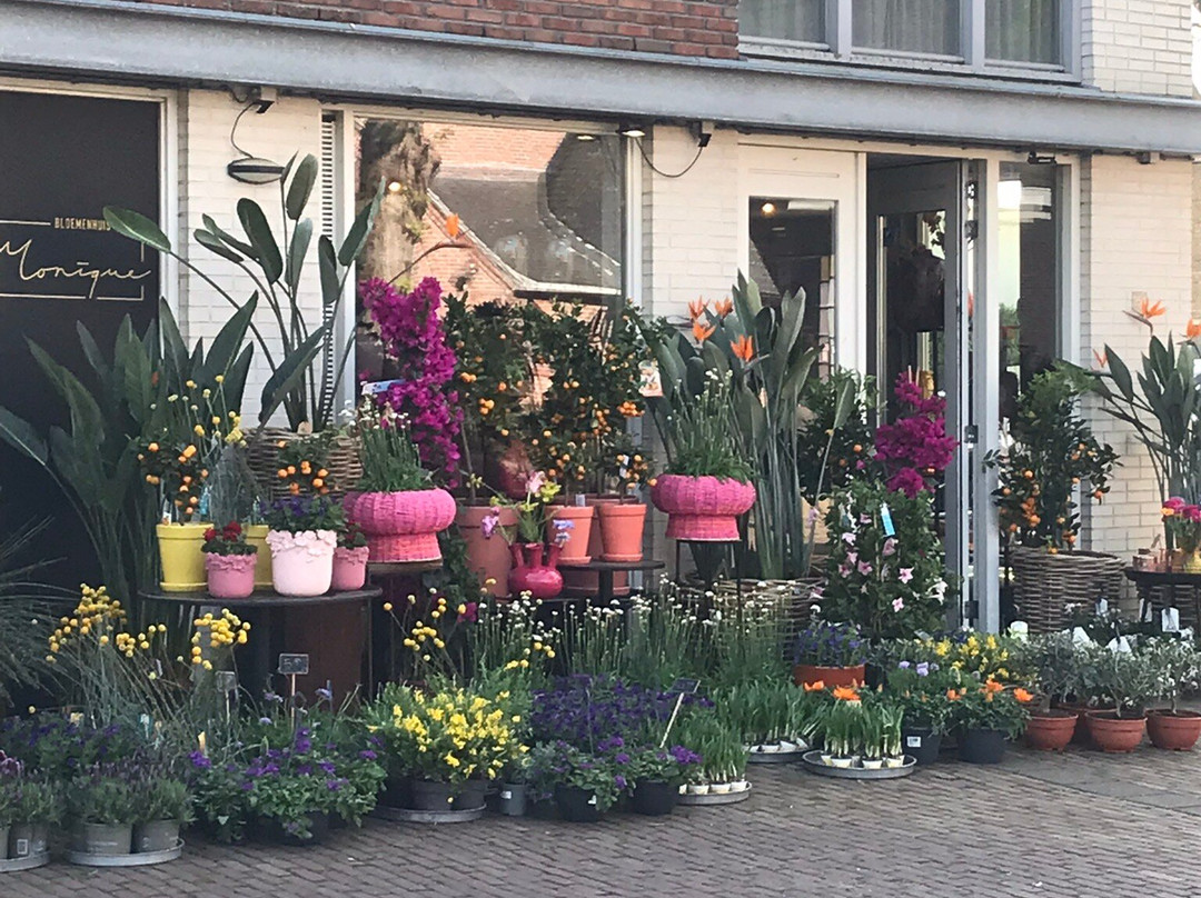 Bloemenhuis Monique-Heiloo必去景点