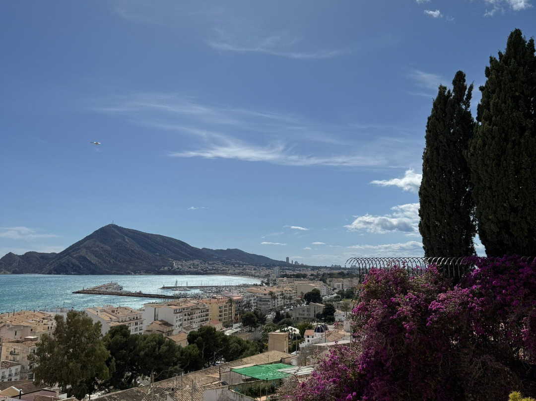 Marina Greenwich-阿尔特阿必去景点