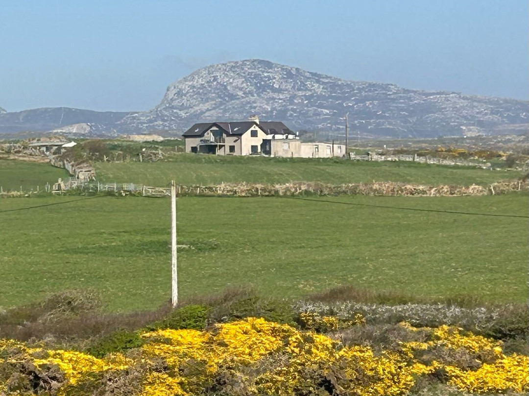 Holyhead Golf Club景点图片