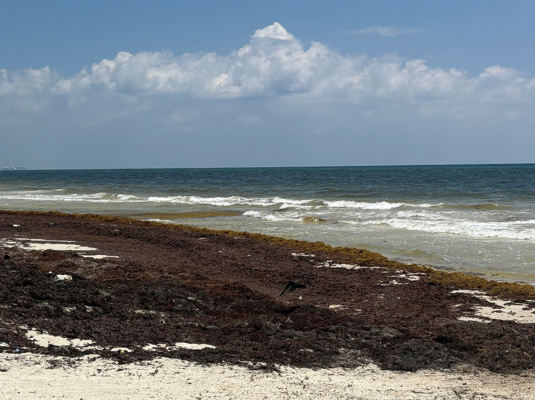 Hayhu Beach Experience景点图片
