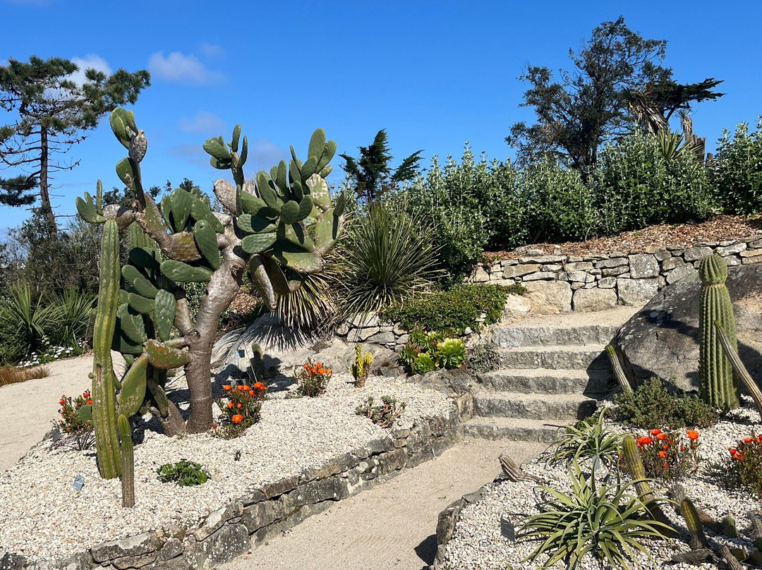 Jardin Georges Delaselle景点图片